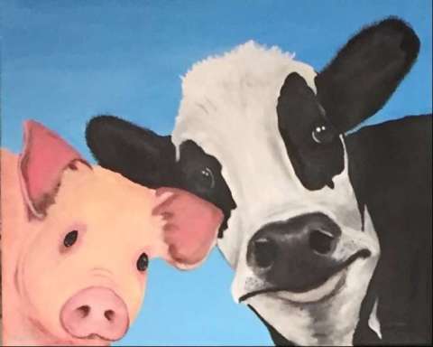 Cow and Pig