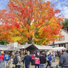 World's Largest Garage Sale Warrensburg NY