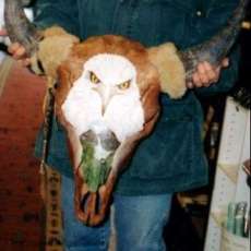 Painted Buffalo Skull