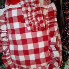 Red Checkered Ruffles