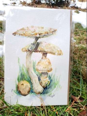 Multi Mushroom Tan