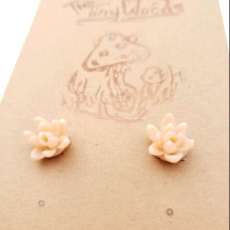 Peach Succulent Studs