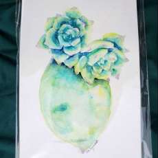 Succulent Watercolor
