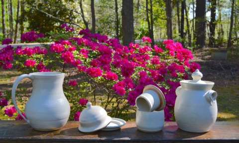 White Pots and Azalia