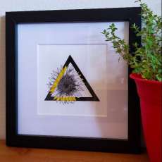 Triangle Sunflower