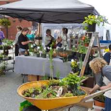Sylva Garden Club Will Return in 2018
