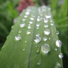 Cascading Hydro-Spheres