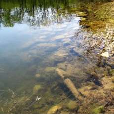 Under the Waters Edge