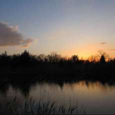 Fossil Way at Sunset