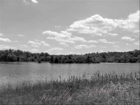 Lake of Pondering