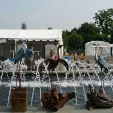 5 Driftwood Designed Pieces