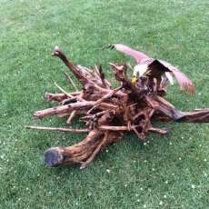 Custom Eagle Driftwood Design