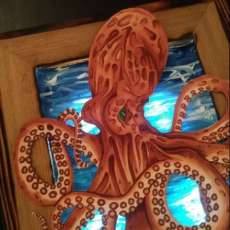 Remote Controlled Lights