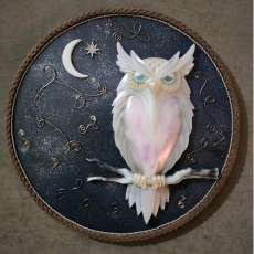 Stary Night & Snowy Owl Shield