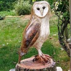 Chainsaw Carved Barn Owl