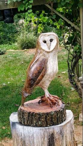 Chainsaw Carved Barn Owl