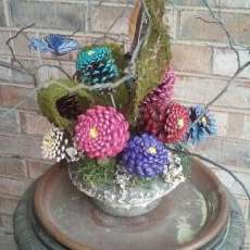 Butterflies and Zinnas