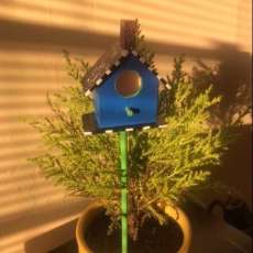 Birdhouse Plant Stick