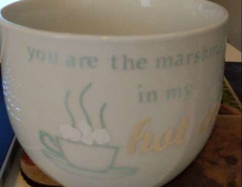 You Are the Marshmallows in My Hot Chocolate