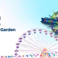 Festival Attractions