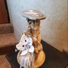 Septarian Stand on Cholla Root