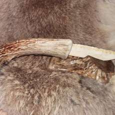 Deer Handle Elk Blade