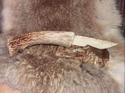Deer Handle Elk Blade