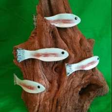 Driftwood Root With Hand Made Painted Rainbow Trout