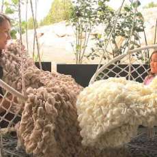 Albrea Luxury Tan and Cream Regular Throws