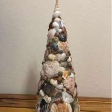 Seashell Tree 12