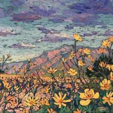 Clad With Colors of Clementine