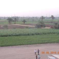 Egyptian Farm