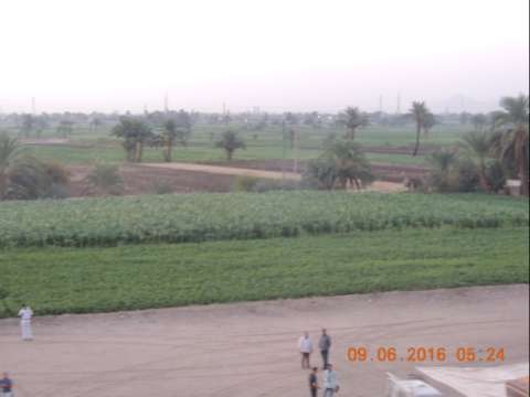 Egyptian Farm