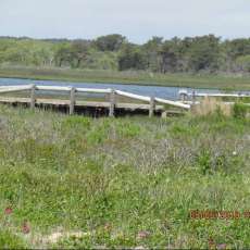 Mashpee Wildlife Refuge