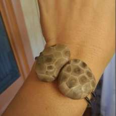 Petoskey Stone Bracelet