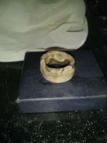 Petoskey Stone Ring