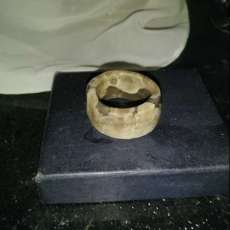 Petoskey Stone Ring