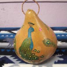 Peacock Gourd