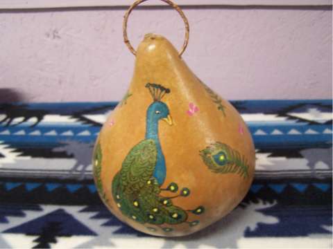Peacock Gourd