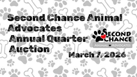 SCAA Quarter Auction