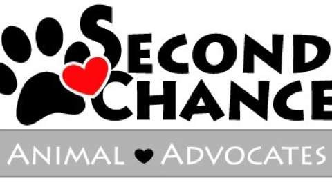 Open Air Market - Summer