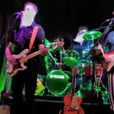 Criminal Squirrel Orchestra