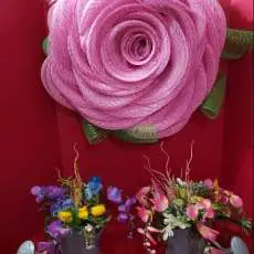 Spring Is on It's Way