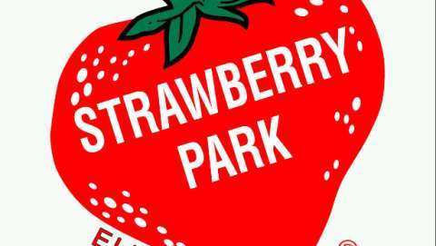 Strawberry Park Cajun Zydeco Festival