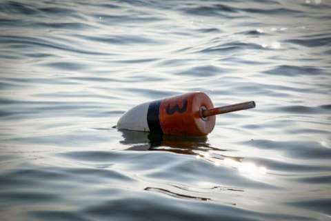 Buoy, Rockland, ME