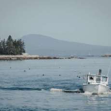 Fishing Boat, Vinylhaven, ME