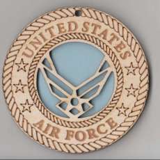 AIR Force Medallion