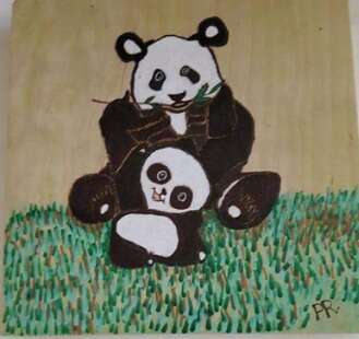 Panda's on Grass