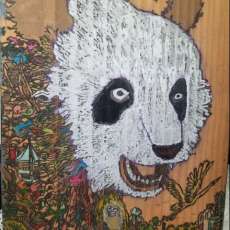 Jungle Panda