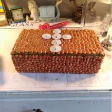 Umbonium & Sand Dollar Trinket Box